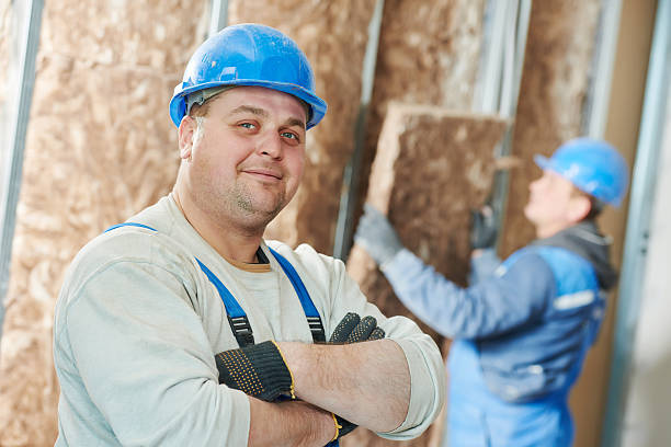 Best Insulation Maintenance and Repair in Apache Junction, AZ