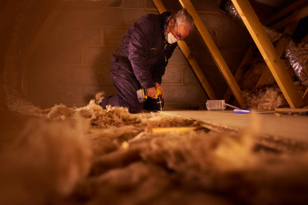 Best Residential Insulation in Apache Junction, AZ